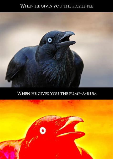 Crow Meme - 9GAG