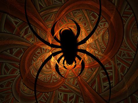 Arachnophilia by The-Serpent-Realm on DeviantArt