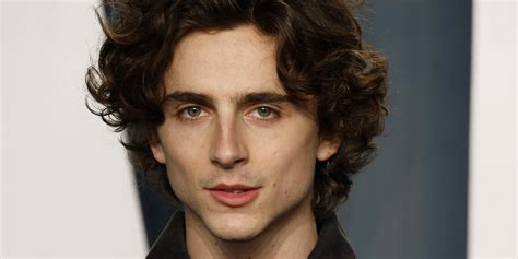 Does Timothée Chalamet Have Tattoos? | POPSUGAR Beauty