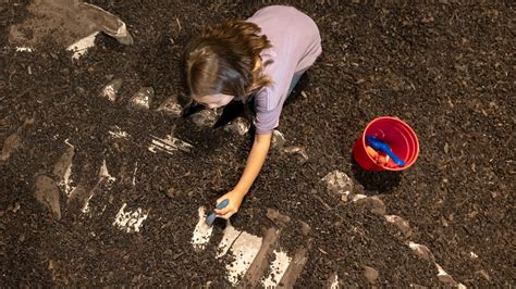 Dig Pit - HMNS at Sugar Land