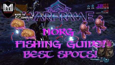 WARFRAME: NORG FISHING GUIDE!! BEST SPOTS, BAIT & MORE!! - YouTube