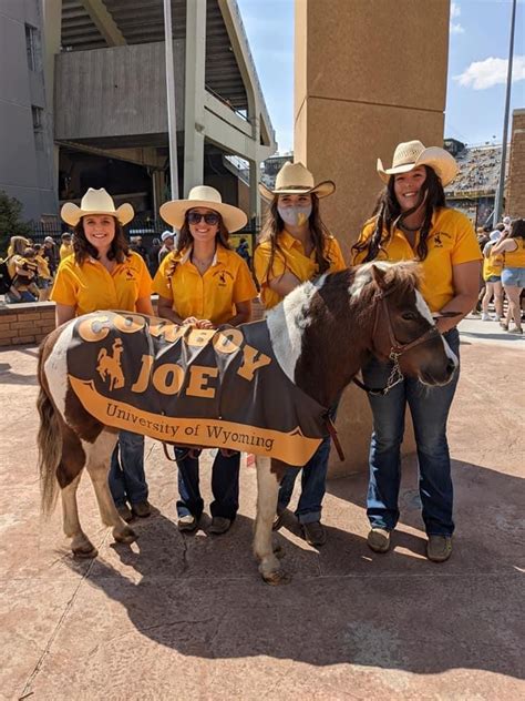 University of Wyoming Cowboy Joe Handler