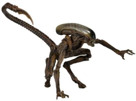 9" Dog Alien Brown Figure Xenomorph Runner Scout Aliens Xx121 NECA ...