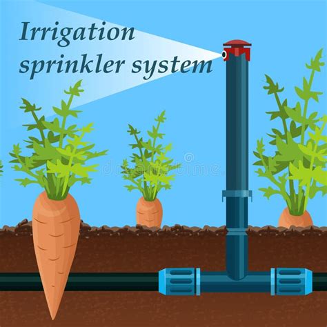 Cartoon Irrigation Stock Illustrations – 1,782 Cartoon Irrigation Stock Illustrations, Vectors ...