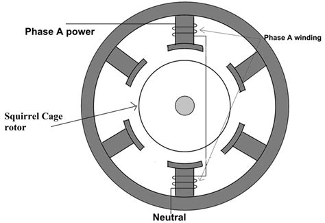 Schematic Diagram Of 3 Phase Induction Motor - Circuit Diagram