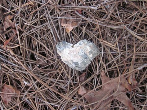 How I Started Collecting Heart-Shaped Rocks - Claire Cook