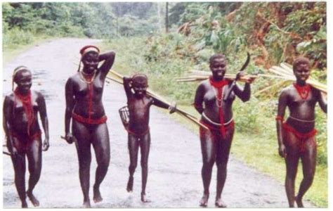 The Jarawa Tribe of Andaman Island, India | Diaspora Indigenous Kinfolk | Andaman islands ...