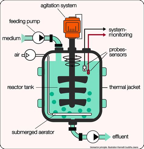 Bioreactor. Illustrations Kenneth buddha Jeans | Chemistry experiments, Science experiments kids ...