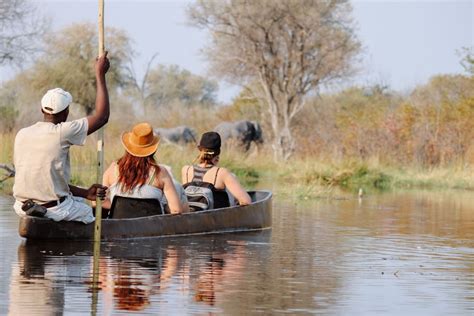 Design your Okavango delta safari online | Timbuktu Travel