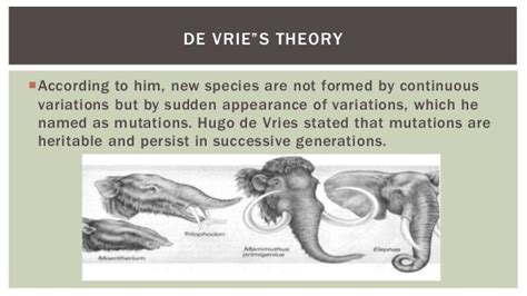 Evolutionism vs Creationism