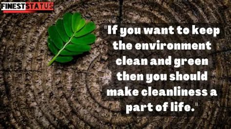 Quotes On Cleanliness Of Environment | Clean Environment Quotes 2023