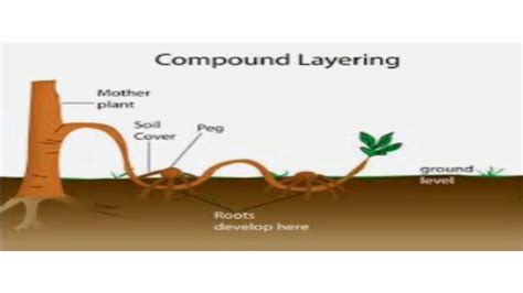 TYPES OF LAYERING - YouTube