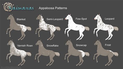 Appaloosa Patterns [Marking Sheet] by IslandSpirit on DeviantArt