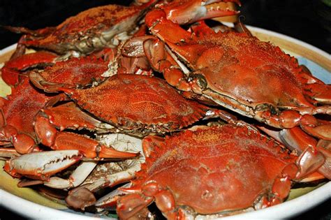 Crab Food Diets at William Lucas blog