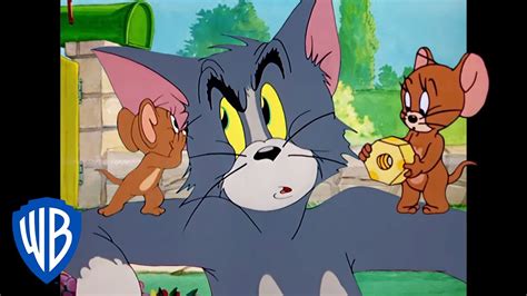 Tom & Jerry | How to Cat-ch a Mouse | Classic Cartoon Compilation | WB ...