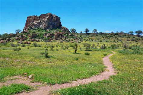 Mapungubwe National Park Safari: Price, Best time, Fees 2024