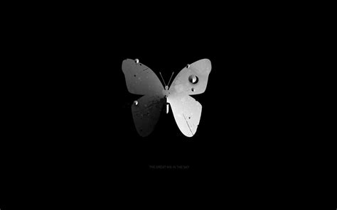 Black Butterfly Background Wallpaper (68+ images)