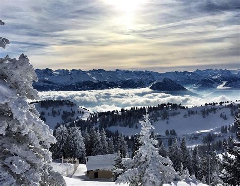 Rigi im Winter | kinderregion.ch