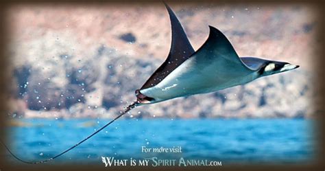 Manta Ray Symbolism & Meaning | Spirit, Totem, & Power Animal