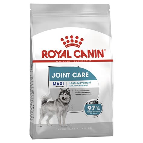 A Guide to Joint Pain in Dogs | Budget Pet Products