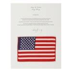 [APOLLO 10]. FLOWN ON APOLLO 10. UNITED STATES OF AMERICA FLAG FROM THE COLLECTION OF JOHN YOUNG ...