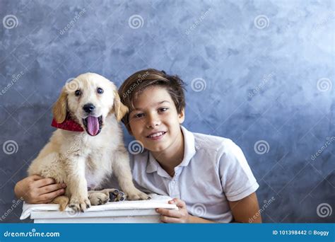 Teen Boy with Golden Retriever Stock Photo - Image of puppy, smiling: 101398442