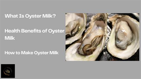 Oyster Milk Benefits, Uses, and How to Make It July 2024