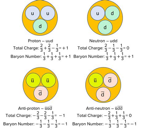 Quarks Questions and Revision | MME