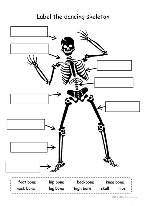 Human Skeleton Worksheets To Label