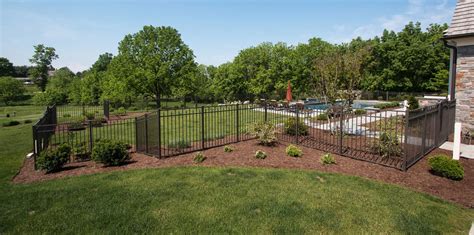 Backyard Dog Fence Ideas & Designs | Freedom Fence Blog