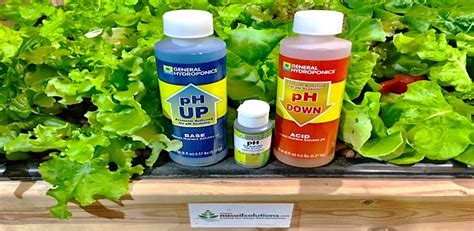 How to Adjust pH Of Hydroponic Nutrient Solution - NoSoilSolutions