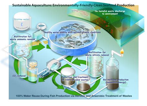 Aquaculture and Fisheries Biotechnology – Department of Marine Biotechnology - UMBC