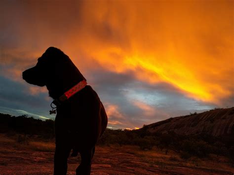 Saturday Morning Sunrise at Enchanted Rock, the northern lights alternative for Texas : r/Austin