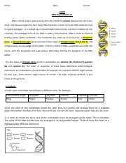 Understanding DNA Structure and Function Through Paper Model Lab | Course Hero