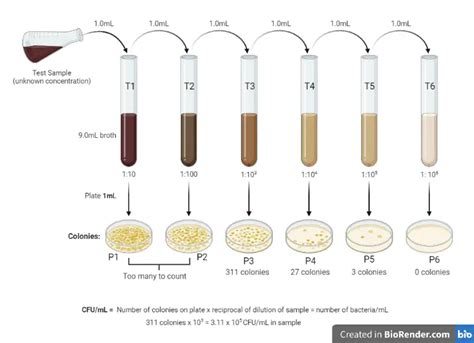 sötétség Szeráf tészta antibiotic concentration calculator Vagy későbbi precedens Időpont egyeztetés