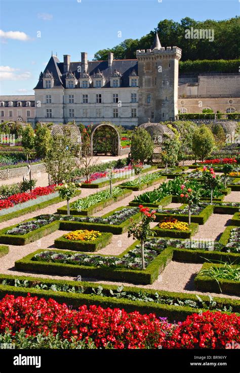 Gardens of the Chateau de Villandry,Indre et Loire, France Stock Photo ...