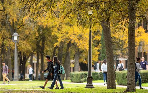 Campus Scene: Wise Trees | Rice Magazine | Office of Public Affairs | Rice University