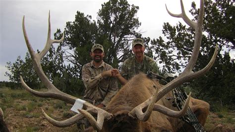 Arizona Archery Elk Hunt - watch two bulls go down - YouTube