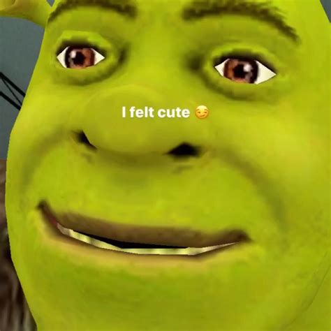 Shrek Meme