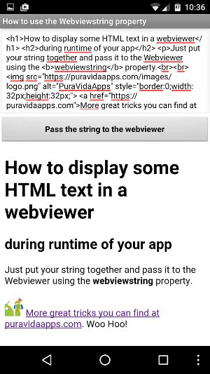 How to display some HTML text in a webviewer