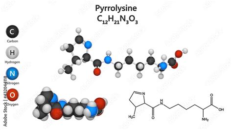 Pyrrolysine (symbol Pyl or O) is an organic compound with chemical ...