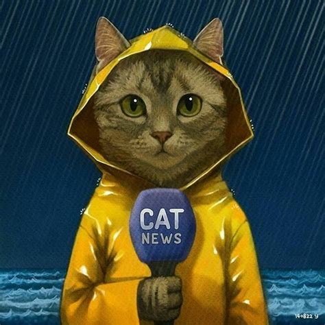 Reporter Cat by Yisemoon Semoon Yi | Cats illustration, Cat memes ...