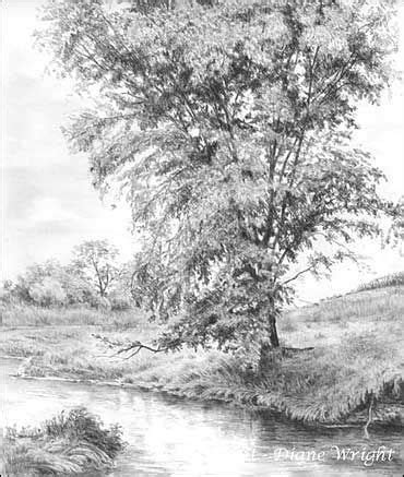 LANDSCAPES - Graphite Pencil Drawings by Diane Wright in 2020 | Landscape drawings, Realistic ...