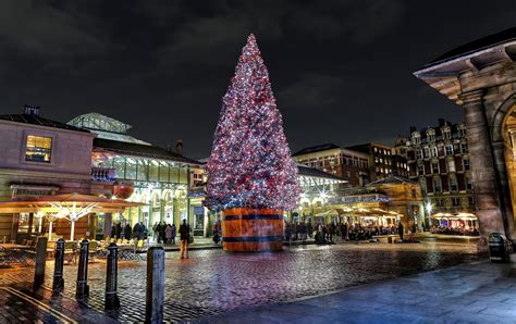 Christmas Tree in Covent Garden | by Anatoleya Christmas In England, London Christmas, Garden ...