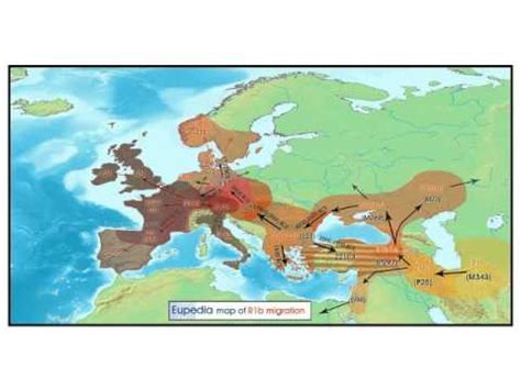 Overview of Haplogroups - YouTube