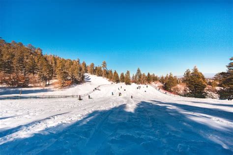 Capulin Snow Play Area at the Sandia Crest – The Lobo Life