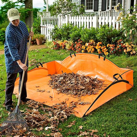 Yard Cleanup – Use The Right Tool For The Job – Thriving Yard