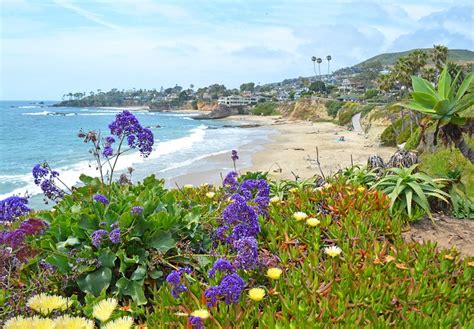 16 Top Attractions & Things to Do in Laguna Beach, CA | PlanetWare