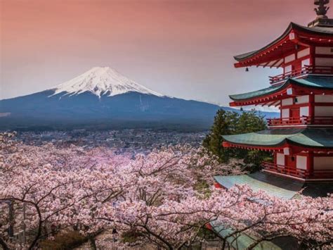 40 Fun Facts about Mount Fuji, Japan's Sacred Peak - Fun World Facts