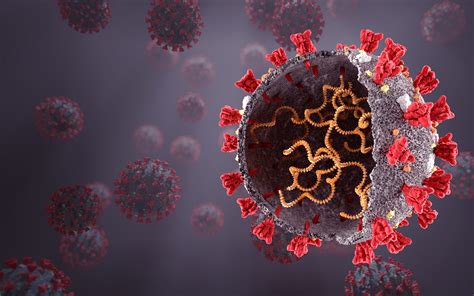 SARS-CoV-2 Biology Points to Endogenous Retrovirus Design - Reasons to Believe